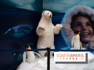 Aquarium Sea Life