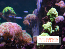 Aquarium Sea Life