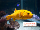 Aquarium Sea Life