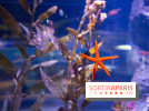 Aquarium Sea Life
