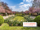 Parc de Bécon à Courbevoie - Pavillon des Indes - Cerisiers en fleurs
