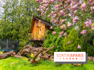 Le Moulin jaune - Hanami 2023