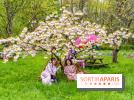 Le Moulin jaune - Hanami 2023