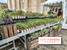 Esprit Jardin à Versailles - Marché aux plantes et animations