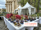 Esprit Jardin à Versailles - Marché aux plantes et animations  - IMG 6096
