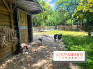 La ferme de la Villette et ses animaux