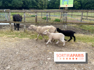 La ferme de Saint-Cyr l'Ecole