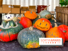 Automne au Potager du Roi - Citrouilles - Halloween