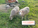 La ferme pédagogique du parc des Chanteraines