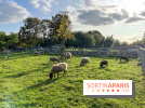 La ferme pédagogique du parc des Chanteraines - image00045