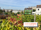Vignes Montmartre