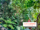 Automne Tropical 2023