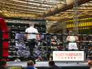 Combats de boxe