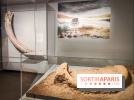 Dans la Seine : une expo de la Crypte archéologique dévoile les objets retrouvés dans la Seine