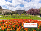Visuel Paris 5e -  jardin des plantes - museum - printemps - fleurs