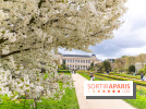 Visuel Paris 5e - jardin des plantes  - printemps - cerisiers