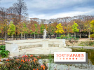 Visuel Paris 1er - jardin des Tuileries automne 