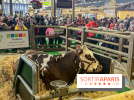 Salon de l'agriculture 2024 - image00021