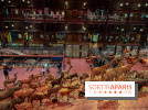 Grande Galerie de l'évolution- visuels 2024 - image00028
