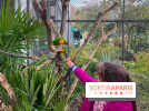 Visuels enfants, attractions, parc, Jardin d'Acclimatation, animaux, zoo - image00034