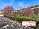 Les magnolias du Jardin du Palais Royal  - printemps - visuel Paris