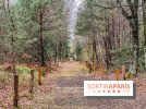 Arbor&Sens, l'Arboretum de Franchard en forêt de Fontainebleau - les photos