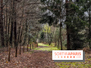 Arbor&Sens, l'Arboretum de Franchard en forêt de Fontainebleau - les photos