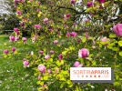 Jardin de l'Ecole du Breuil - nos photos