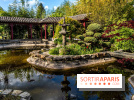 Jardin Yili, le jardin chinois caché dans les Yvelines -  A7C2232