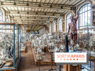 La Galerie de Paléontologie et d'Anatomie comparée du Muséum au Jardin des Plantes