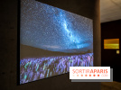Reflets de la nature, nos photos de l'exposition
