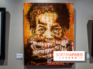 Le Décryptage de l’art de rue, nos photos de l'expo