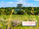 Le Parc du peuple de l'herbe dans les Yvelines - Étang de Galiotte - Carrières-sous-Poissy