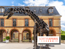 Un dinosaure géant au Château de Dampierre - Jurassique au Château de Dampierre