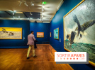 Bruno Liljefors, la Suède sauvage : l'exposition poétique se dévoile en images au Petit Palais