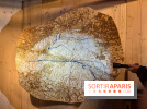La Grotte Chauvet à la Cité des Sciences, nos photos