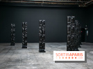 Exposition Barbara Chase-Riboud au Palais de Tokyo - :