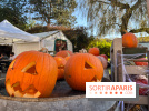La Fête de la Citrouille - nos photos