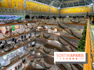 Les vitrines de Noël 2024 de la Samaritaine : Thoiry Lumières Sauvages envahit le grand magasin - Les vitrines de Noël 2024 de la Samaritaine : Thoiry Lumières Sauvages envahit le grand magasin 1125777