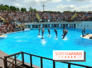 Parc Asterix
Dauphins