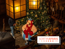 Noël au Parc Astérix 2024 - nos photos -  Quai de lutèce 