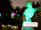 Exposition Silva Lumina au Centre Culturel Irlandais  - Silva Lumina 14
