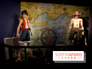One Piece à l'Aquarium de Paris