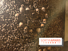 Les Catacombes de Paris - visuels