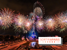 Le feu d’artifice du 14 juillet 2025 de Paris - les photos