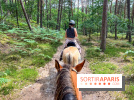 Balade en chevaux Henson en forêt de Fontainebleau  - IMG 2038