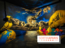 Roadmap 2, exposition street-art et contemporain en Seine-Saint-Denis par le Colors Festival - photos - A7C09301