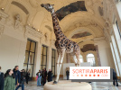 Art Basel 2025 : des installations d'art contemporain originales et gratuites à voir au Petit Palais