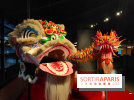Dragons : l'exposition entre art et légendes se dévoile au musée du Quai Branly