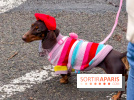 Paris Sausage Walk, la Marche des Teckels 2025